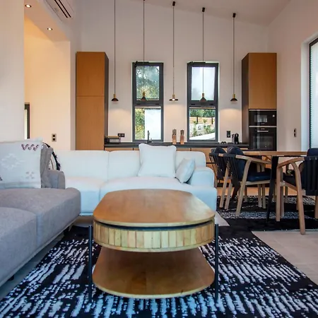 Dara And Todd Villa *