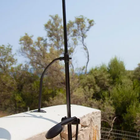 Dara And Todd * Sivota